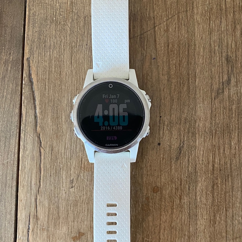 Garmin Fenix 5S watch white